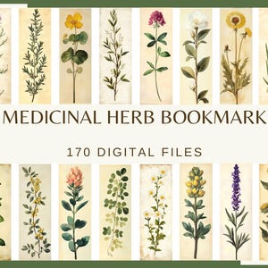 May include: A set of 170 digital files featuring illustrations of various medicinal herbs. The images are in a vintage style with a light brown background.