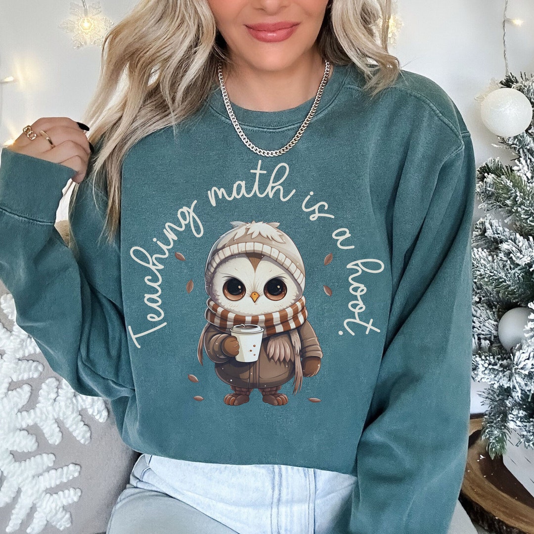 Happy Math Sweater Math Teacher Owl Pun Sweatshirt, Unisex Comfort Colors Shirt ...