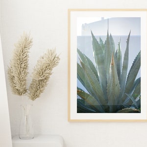Kakteen-Poster 30x45