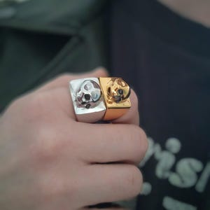 Desert Skull Ring / Skull Ring / Men and Women