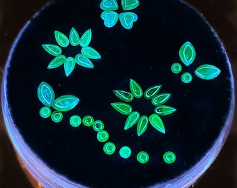 May include: A black circular surface with several arrangements of glowing green shapes. The shapes include petal-like forms, circles, and a four-leaf clover design. The objects are illuminated with a bright, neon green color.
