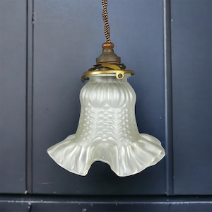 French elegant frosted glass tulip hanging lamp