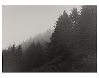 Mirador de la bahía de Manzanita, Oregón (niebla)