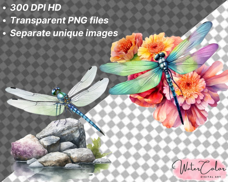 May include: Two watercolor illustrations of dragonflies. One dragonfly is perched on a rock with a small stream in the background. The other dragonfly is surrounded by pink and orange flowers.