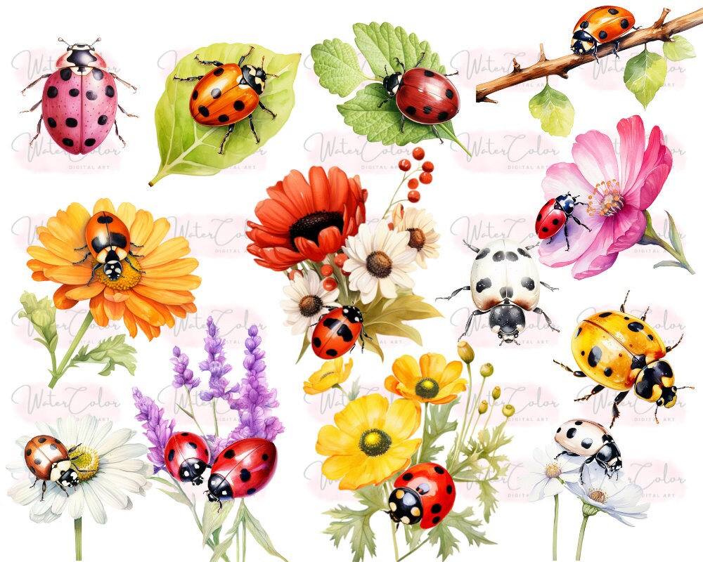 Watercolor Ladybug Clipart Bundle, Floral Cute Lady Bugs Decorative ...