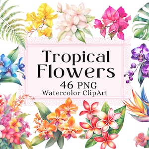 Tropische Blumen Aquarell Clipart, exotische Blume Hibiskus, Hawaiianische Palme Sommer, Clip Art PNG Sofort-Download