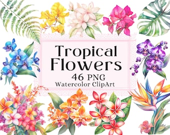 Tropical Flowers Watercolor Clipart,Exotic Flower Hibiscus, Summer Hawaiian Palm Leave, Clip Art Sets PNG Instant Download