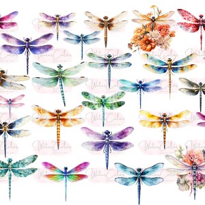 May include: A collection of watercolor dragonfly illustrations in various colors and poses. The dragonflies are painted in a realistic style with intricate details.