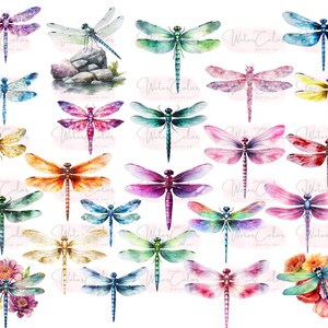 May include: A collection of 25 watercolor illustrations of dragonflies in various colors, including blue, green, purple, orange, red, and yellow. The dragonflies are depicted with intricate details and realistic textures.