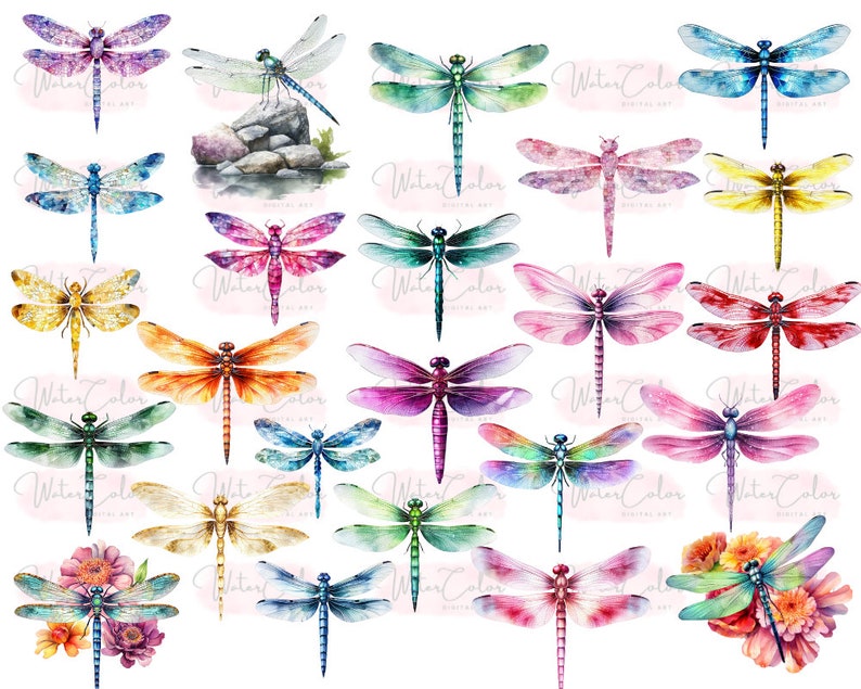 May include: A collection of 25 watercolor illustrations of dragonflies in various colors, including blue, green, purple, orange, red, and yellow. The dragonflies are depicted with intricate details and realistic textures.