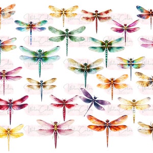 May include: A collection of watercolor dragonfly illustrations in various colors, including blue, green, red, orange, yellow, and purple. The dragonflies are depicted with intricate details and realistic features.