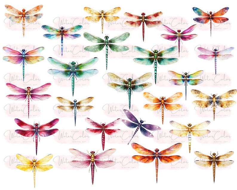 May include: A collection of watercolor dragonfly illustrations in various colors, including blue, green, red, orange, yellow, and purple. The dragonflies are depicted with intricate details and realistic features.