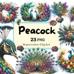 Paquete de arte de pavo real de acuarela - elegantes pavos reales y plumas, imágenes prediseñadas de aves exóticas, descarga digital para manualidades de bricolaje, decoración de álbumes de recortes