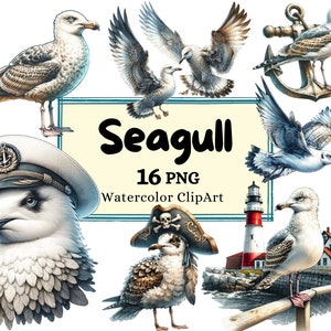 Bundle de cliparts aquarelle mouettes - mouette chapeau de pirate, illustrations aquarelles d'oiseaux marins, art numérique océan, téléchargement immédiat