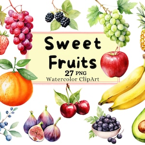 Sweet Fruits clipart, Watercolor Banana - Mango - Fig - Berrys - Avocado and more PNG Instant download Commercial Use Decoration Graphic