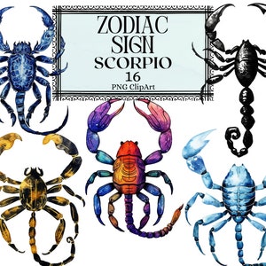 Zodiac Signs Clipart, Horoscope Scorpio Star Sign, Esoterical Clipart Goddess Astrology Pluto PNG Instant Download Commercial Use