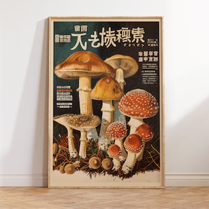 Poster di funghi giapponesi - Stampa botanica in stile vintage - Arte murale retrò - Illustrazione di funghi medicinali - Decorazione ispirata al Giappone