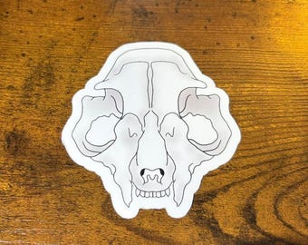 May include: A white sticker featuring a detailed outline of an animal skull. The skull is depicted in a minimalist style with black lines, showcasing the structure of the cranium, nasal cavity, and teeth. The sticker is placed on a wooden surface.