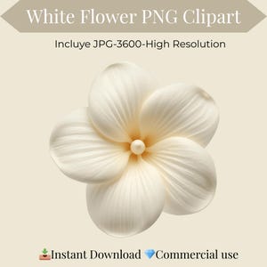 Puede incluir: Un clipart PNG de una flor blanca con cinco pétalos y un detalle central en forma de perla. La imagen incluye el texto "White Flower PNG Clipart" y "Incluye JPG-3600-High Resolution". La imagen también incluye el texto "Instant Download Commercial use".
