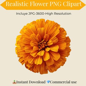 Puede incluir: Clipart PNG de una flor naranja realista. La flor tiene muchos pétalos detallados y un centro texturizado. Incluye el texto "Realistic Flower PNG Clipart" y "Instant Download Commercial use."