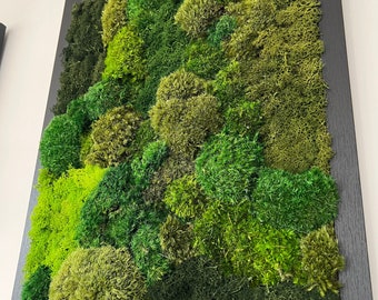 Custom Handmade Preserved Moss Wall Art – Framed Living Wall Decor