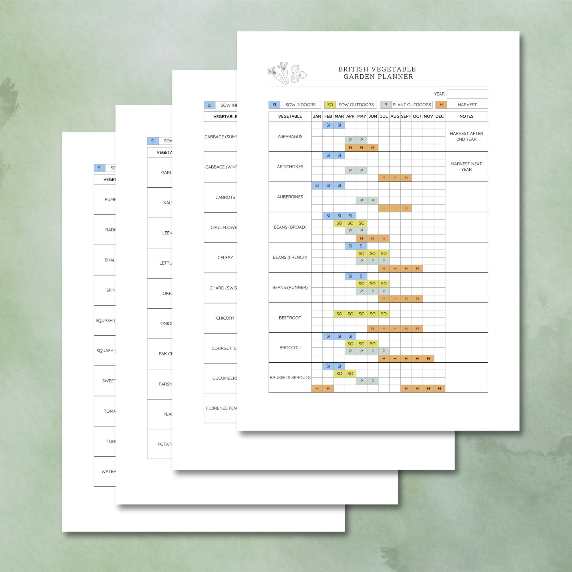 British Vegetable Garden Planner - Printable Sow, Plant & Harvest ...