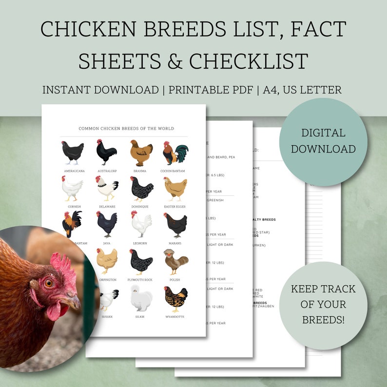 Chicken Breeds List, Fact Sheets & Checklist - Printable Homestead ...