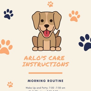Canva Pet Care Editable Instructions