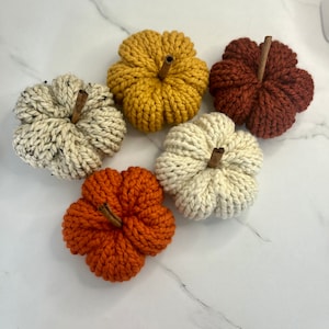 May include: Five knitted pumpkins in various colors, including orange, white, and yellow, with cinnamon sticks inserted as stems.