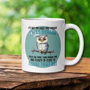 Ce n'est pas de ma faute si vous pensiez que j'étais une tasse normale, tasse hibou, tasse d'amoureux de hibou, tasse hilarante unique de hibou, tasse drôle, tasse de café drôle, cadeau drôle