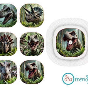 Può includere: Sei adesivi colorati con diversi dinosauri in un ambiente di giungla. Gli adesivi sono progettati per essere utilizzati su dispositivi medici.