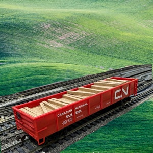 Può includere: Un vagone merci rosso in scala ridotta con le parole "Canadian National" e "CN 14 9955" stampate sul lato. Il vagone è carico di assi di legno e si trova su un binario di un treno in miniatura.