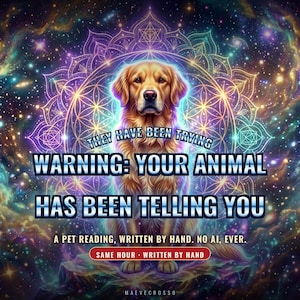 Könnte beinhalten: Ein Golden Retriever sitzt zentriert vor einem lebendigen, kosmischen Nebelhintergrund mit einem leuchtenden geometrischen Mandala. Der Text lautet: THEY HAVE BEEN TRYING WARNING: YOUR ANIMAL HAS BEEN TELLING YOU A PET READING, WRITTEN BY HAND. NO AI, EVER. SAME HOUR - WRITTEN BY HAND.