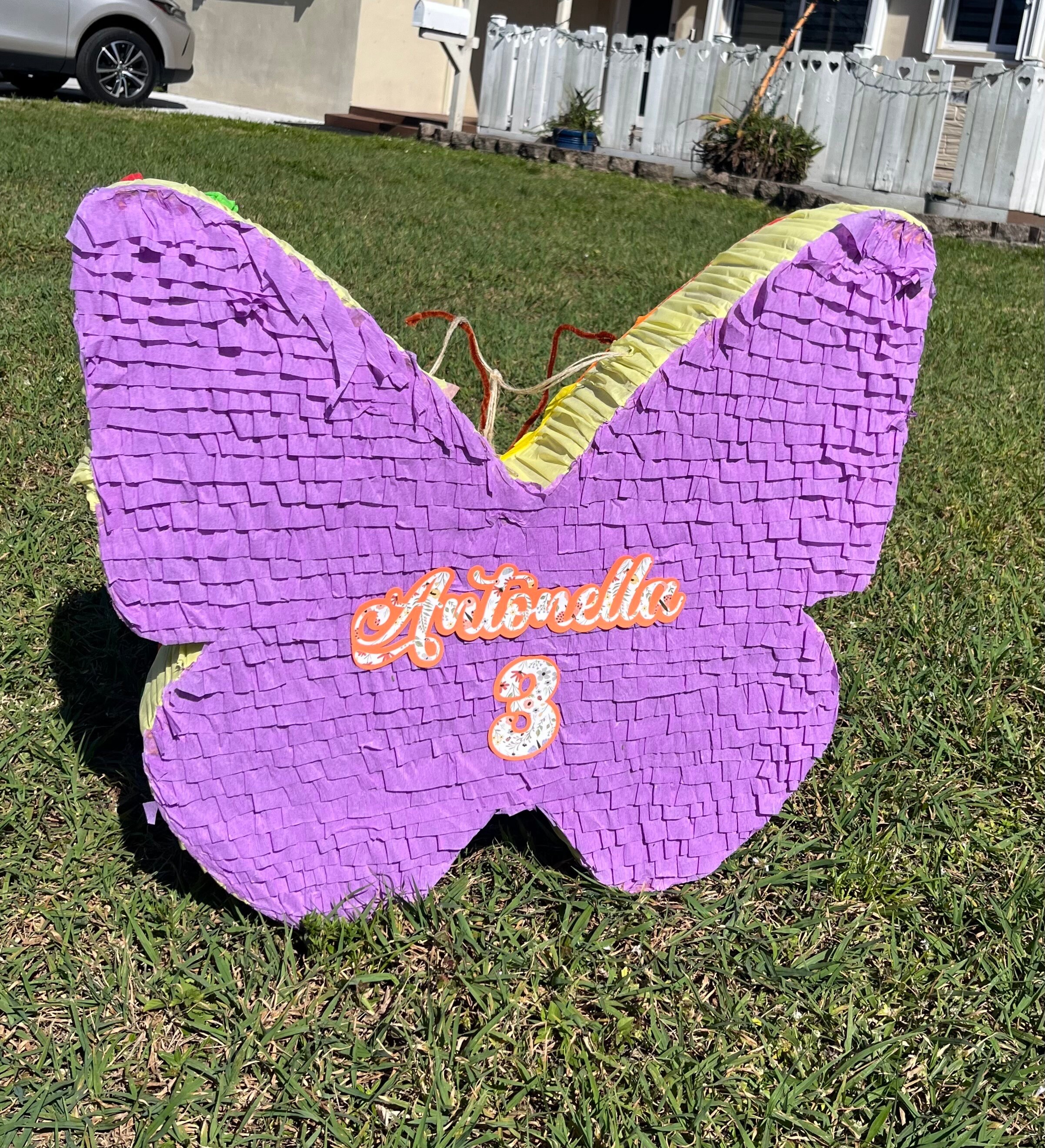 Butterfly Piñata - Etsy