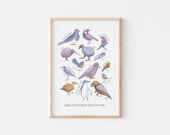 Birds of Aotearoa | New Zealand Art Print
