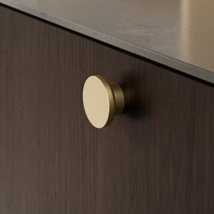 May include: A dark brown cabinet with a gold-coloured, circular knob. The cabinet has a smooth, dark surface and a simple, modern design. The knob is centered on the cabinet door.