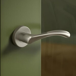 May include: A close-up of a door handle and lockset. The door is painted a muted green colour. The handle is a curved, brushed metal design. The lockset is a rectangular plate with a gold-coloured latch.