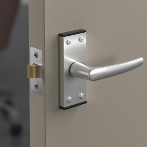May include: A silver door handle with a lever design and a black rubber trim. The handle is mounted on a silver door.