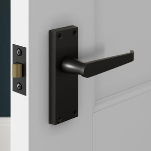 May include: A black door handle with a rectangular backplate and a lever-style handle. The handle is mounted on a white door with a recessed panel design. The door also features a black door latch with a brass-colored latch bolt.