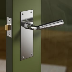 May include: A shiny chrome door handle and plate are fixed to a green door. The handle has a curved shape, and the plate is rectangular with rounded corners. A gold-coloured latch is visible on the door frame.