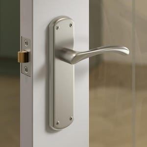 May include: A brushed nickel door handle and plate are fixed to a white door. The handle has a curved lever design. The door also features a brass-coloured latch. A glass panel is visible in the background.