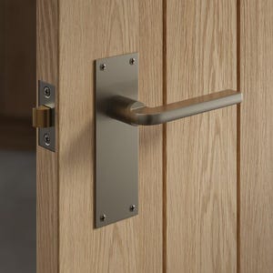 May include: A contemporary door handle and backplate in a brushed nickel finish. The handle is fixed to a rectangular plate with screws. The door is made of light-toned wood with vertical planks.