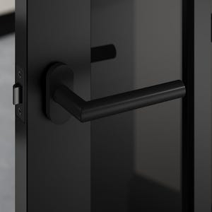 May include: A black door handle with a rectangular backplate and a straight lever. The handle is mounted on a black door, with a matching black door frame. The door appears to be made of a smooth, solid material.