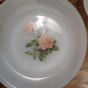 May include: Frosted glass plates with a delicate floral rose design in shades of peach and green. The plates have a slightly raised edge and a smooth surface, perfect for serving appetizers or desserts.