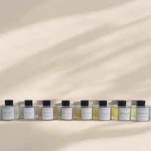 Diffusore a bastoncini pulito / Profumi fatti a mano e di lunga durata / 100 ml