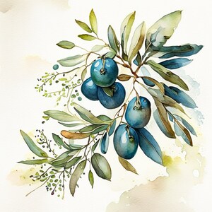 Watercolor Olive Branches Clipart: 10 PNG Graphics (Digital Download)