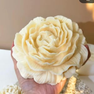 Può includere: Una grande rosa scolpita color crema con petali dettagliati. Il design floreale fatto a mano è tenuto in una mano, mostrando l'intricata maestria artigianale. La rosa è un oggetto decorativo, forse per l'arredamento della casa o per occasioni speciali.