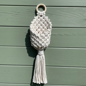 May include: A white macrame plant hanger with a wooden ring at the top and a long tassel. The hanger is hanging on a green wooden wall.