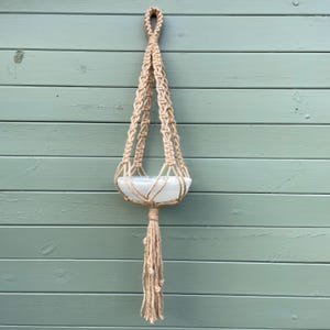 May include: A beige macramé plant hanger with a white bowl-shaped pot. The hanger is made of woven rope and features a knotted design with a tassel at the bottom. The pot is suspended from a loop at the top.