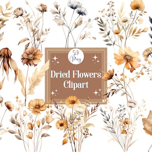 Clipart fleurs séchées fleurs sauvages pressées séchées Bouquet de fleurs bohèmes Png pour faire-part de fleurs séchées faire des cartes d'invitation de mariage fleurs séchées